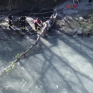 Area Paracchi, rimossi gli alberi che ostruivano la Dora da luglio 2018