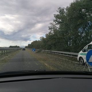Maltempo, un albero cade sulla Torino-Savona