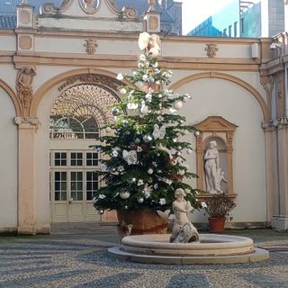A Palazzo Lascaris ritorna il pino &quot;adottato&quot; dal Consiglio regionale