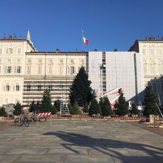 preparativi albero di natale
