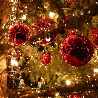 A Vigone arriva il Natale con presepi creativi e alberi addobbati dai bimbi