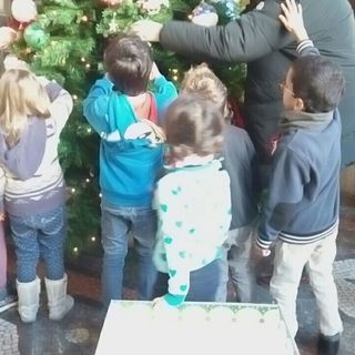 Ecco come smaltire l'abero di Natale naturale ora che sono finite le feste Ecco come smaltire l'abero di Natale naturale ora che sono finite le feste