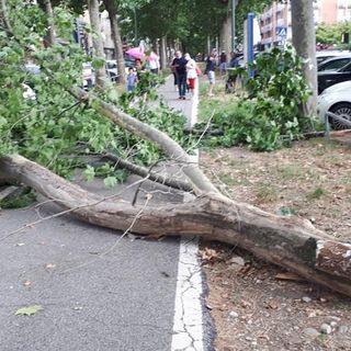 Foto di Federica Fulco, Facebook