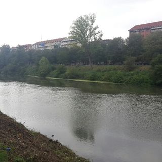 Proseguono fino a metà ottobre gli interventi di pulizia delle alghe ne Po