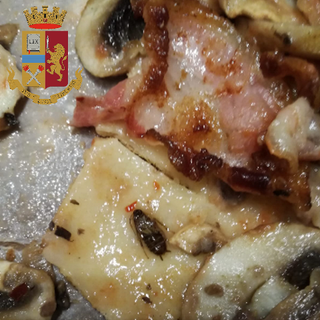 Pizza condita al gusto insetti: a Torino i carabinieri sequestrano un locale di via Madama Cristina