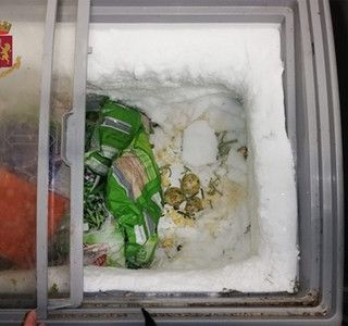 L'allarme della Procura di Torino: &quot;Grave abrogare legge su reati alimentari&quot;
