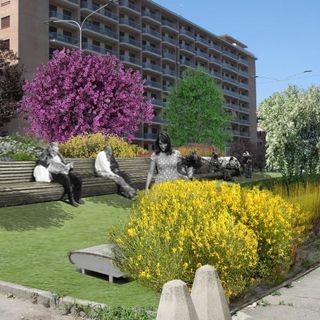 Più verde in corso Bramante e via Madama Cristina per ricucire il territorio urbano