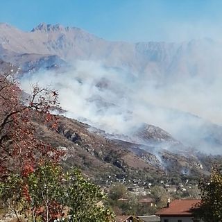 Coldiretti: &quot;Serviranno 15 anni per ricostruire i boschi bruciati dagli incendi&quot;