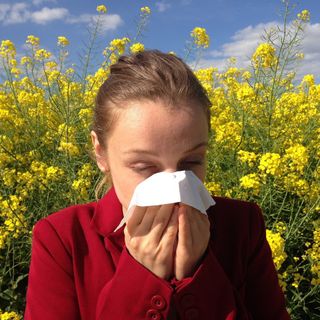 Test allergie