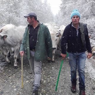 Dopo il successo di Torino (e non solo), la fassoneria arriva a Monza