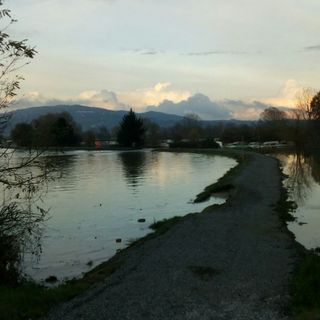 Coldiretti, aziende a terra per l'alluvione