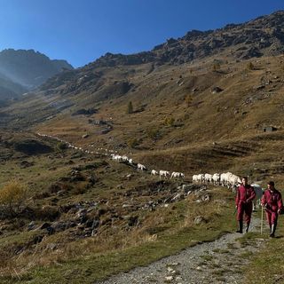 Dalla Regione 4 mln di euro per la viabilità per l'accesso e la gestione degli alpeggi