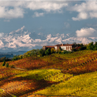 Alpi del Monferrato: al museo della Montagna le fotografie di Enzo Isaia
