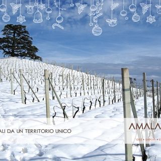 Amalalanga: regali speciali da un territorio unico