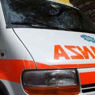 Problemi di salute per il vostro animale da compagnia? A Torino c’è l’ambulatorio del dottor Monticone
