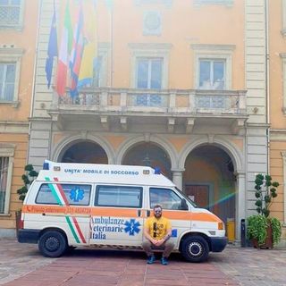 ambulanza veterinaria nichelino