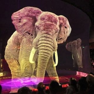 Animali in 3D protagonisti del Circus AtmoSphere a Moncalieri