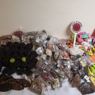 Lotta all'abusivismo a Porta Palazzo: sequestrati oltre 100 chili di prodotti