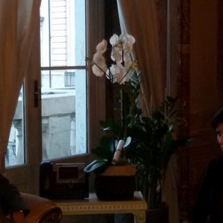 Stringere patti economici e culturali, Appendino riceve delegazione russa a Palazzo Civico