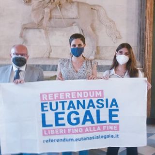 appendino pro referendum