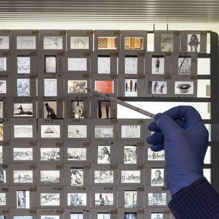 L’Archivio Fotografico Digitale dell'Egizio vince il Premio Museo Open Culture Italia 2022