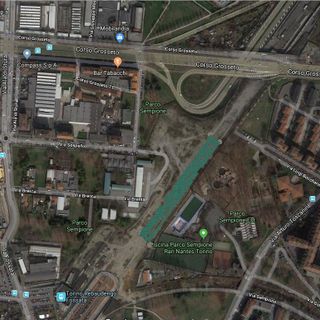 Una &quot;nursery&quot; per i nuovi alberi di corso Grosseto