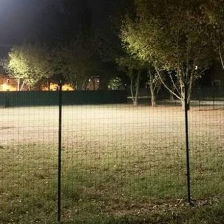 area cani illuminata