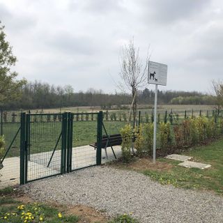 immagine di repertorio
