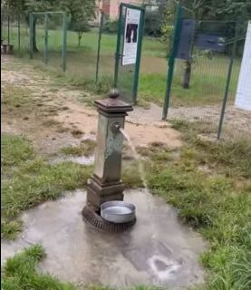 area cani danneggiata
