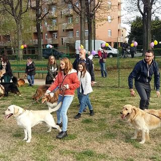 A Torino riaprono le aree cani: mascherina e distanza di 2 metri obbligatoria