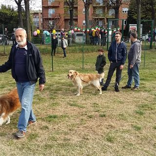Percorso partecipato per la cura delle aree di sgambamento per cani