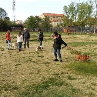Nichelino, se il proprietario ha il covid è il Comune che si prende cura dell'amico a quattro zampe