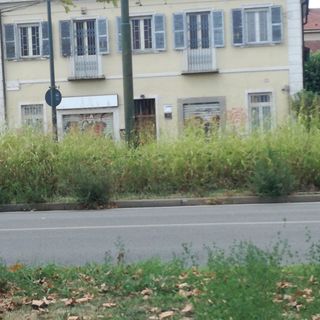 Verde pubblico, assegnati i lavori di manutenzione straordinaria in 20 aree