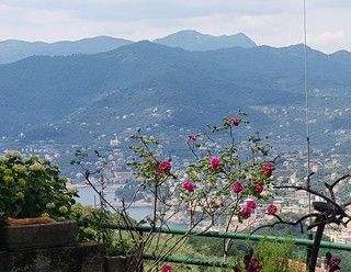 A.R.T.E. Genova mette all'asta i c.d. “immobili di pregio” a Sestri Levante, Zoagli e Camogli