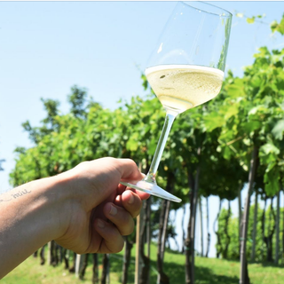 Per l'apertura di Collisioni a Barolo con Eddie Vedder arriva l'Asti Day