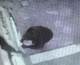 Ritrovato un altro pacco bomba all'agenzia di viaggi 747