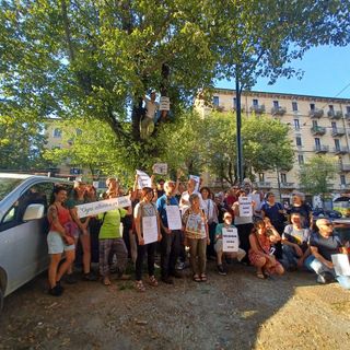 Attivisti a difesa degli alberi di Corso Belgio