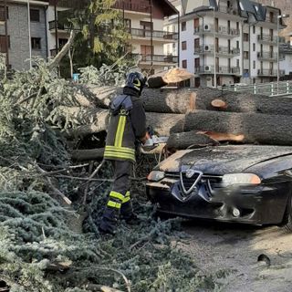 Forte vento in Val di Susa, un albero cade e distrugge un'auto a Bardonecchia