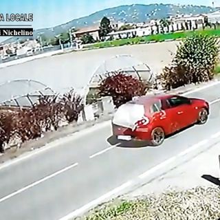 auto incriminata