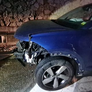L'auto distrutta dall'impatto con i cinghiali L'auto distrutta dall'impatto con i cinghiali