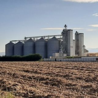 Apre il bando da 20 milioni di euro per il miglioramento delle aziende agricole piemontesi
