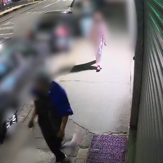 Erano il terrore della periferia di Torino, in manette baby gang Erano il terrore della periferia di Torino, in manette baby gang