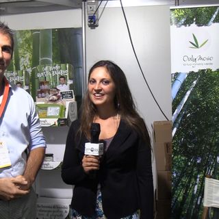 La pacifica invasione del bambù a Carmagnola: OnlyMoso, coltivazione e vendita sostenibile [VIDEO]
