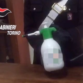 Furti nelle case e in auto, presa la “banda dell’ammoniaca”: con lo spray stordivano i cani da guardia