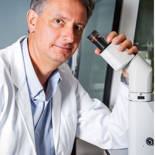 Ancora un riconoscimento per Candiolo: il premio per la Ricerca Traslazionale Esmo ad Alberto Bardelli