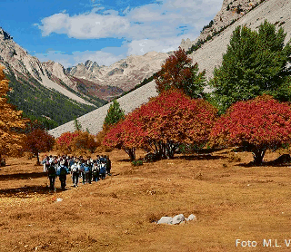A Bardonecchia un'altra settimana ricca di eventi e manifestazioni