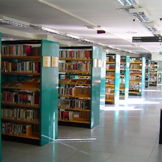 I libri vanno in vacanza in Circoscrizione 2: gli orari estivi delle biblioteche civiche