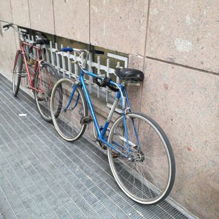 Imbarchino del Valentino, domenica sui pedali della Sclerosi Multipla
