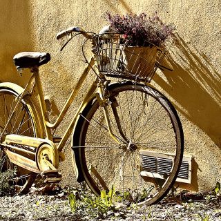 Torna ArchiBike: l'architetto che racconta la città in bicicletta