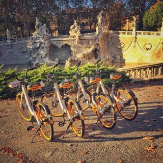 Torino, Amiat ritira le biciclette oBike abbandonate